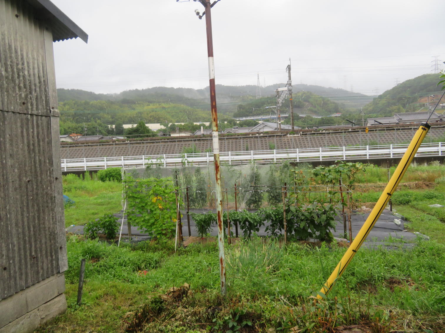 梶原の菜園と線路、その背後の山並み