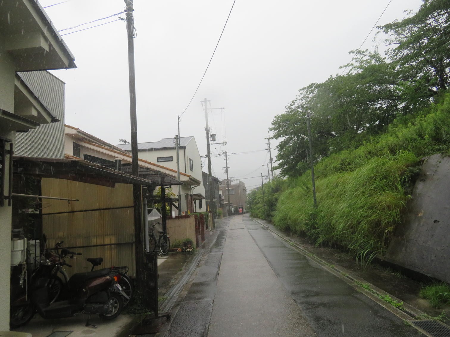 島本町広瀬の緑地沿いに延びる狭い道路