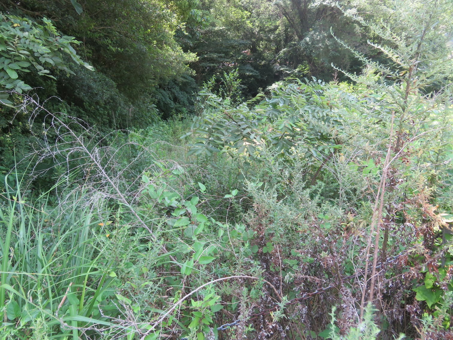 フェンスに囲われ草に覆われた旧福田教育集会所跡とみられる区画