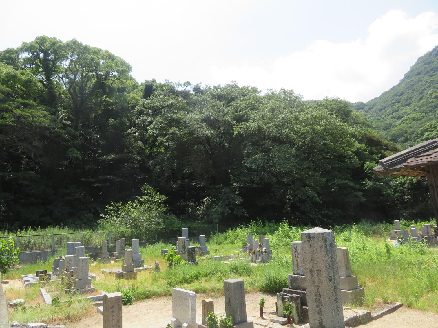 山を背にした三昧墓地の全景