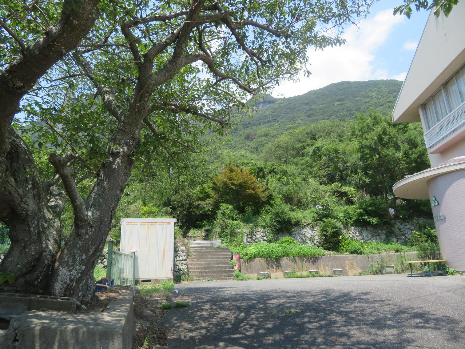 大木と旭幼稚園の建物の背後に迫る山