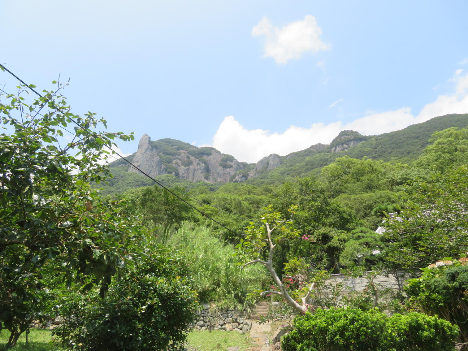 木々越しに見える橘地区背後の岩山