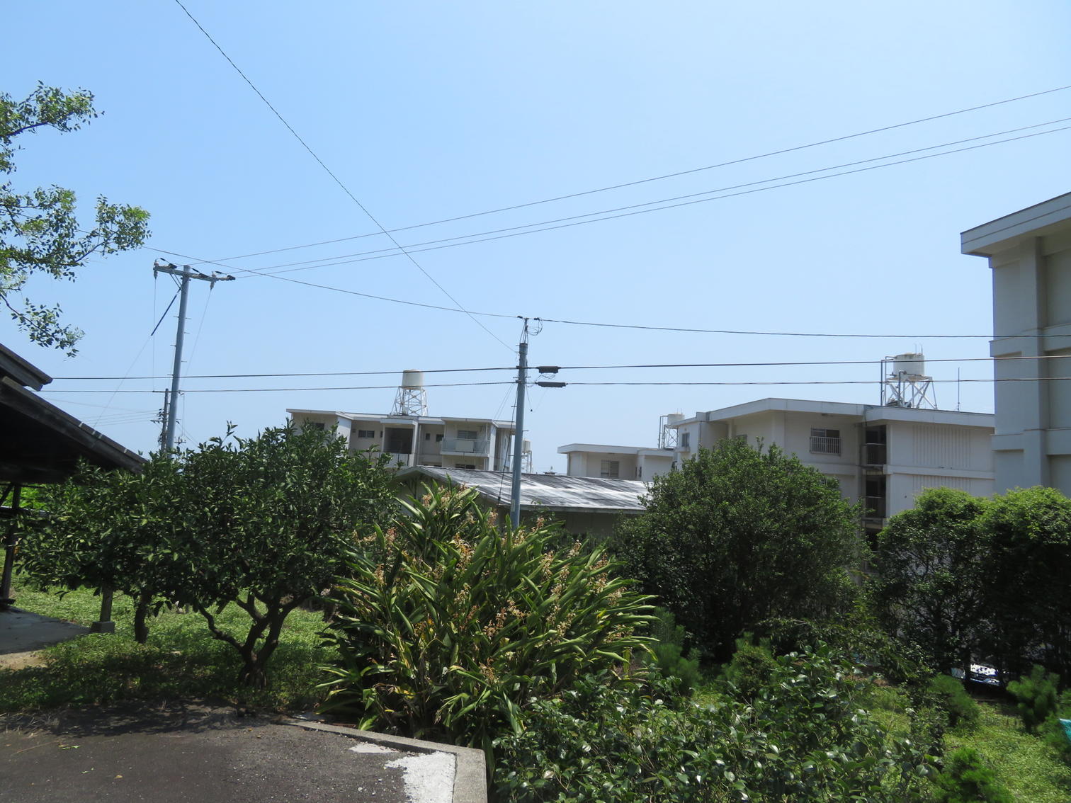 畑と果樹の向こうに見える町営住宅群