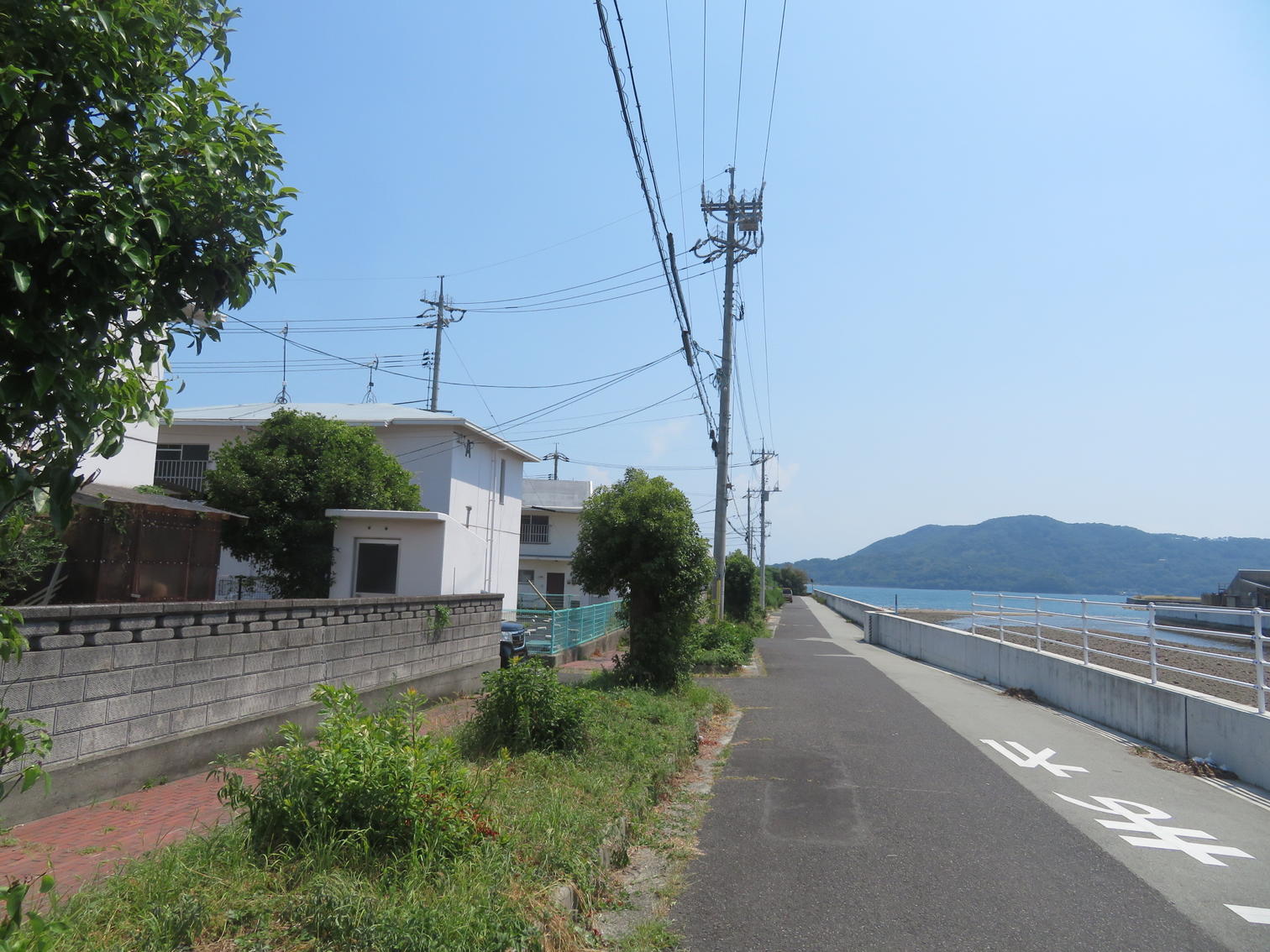 海沿いの歩道と住宅の裏手