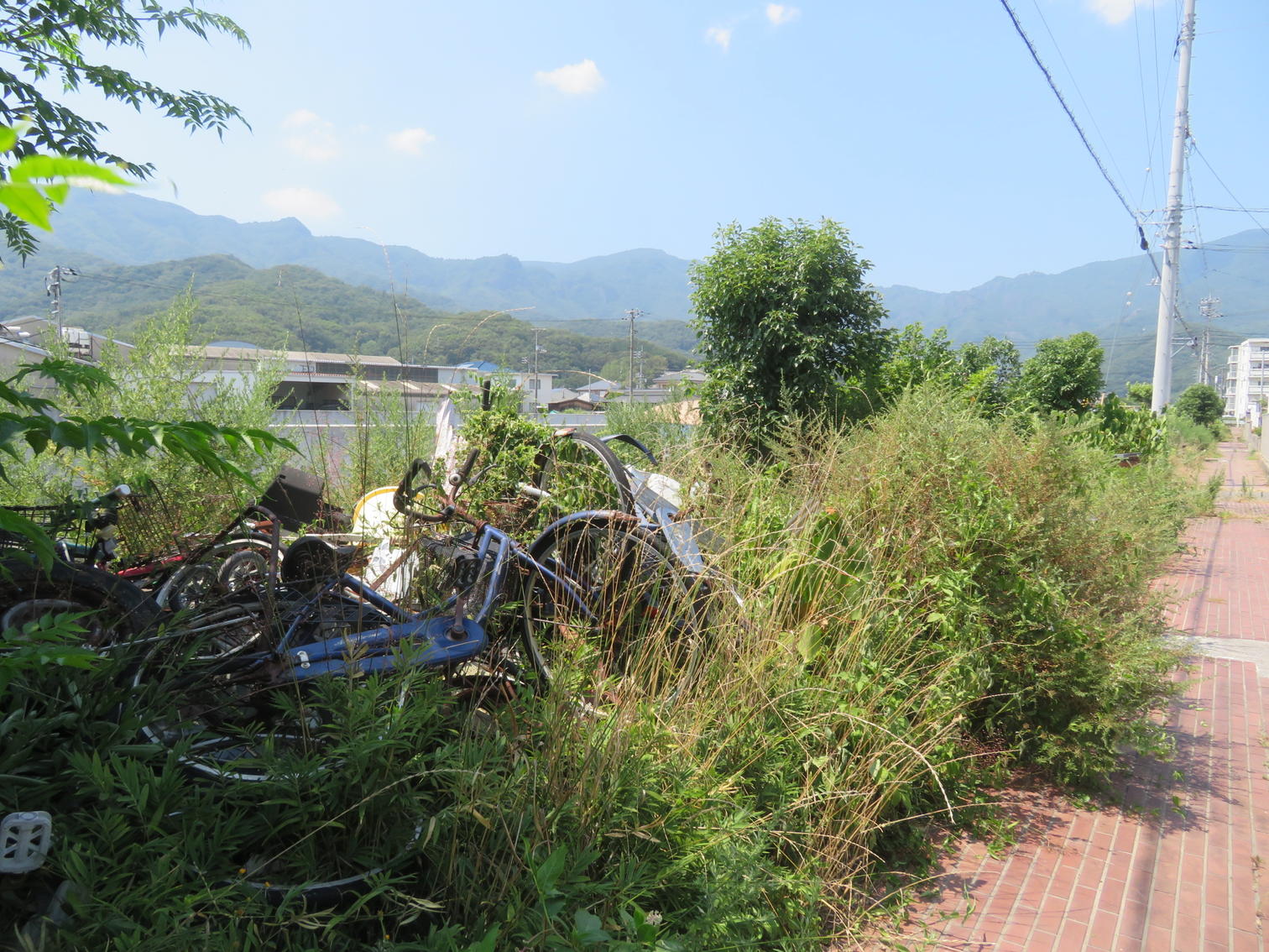 草の中に放置された自転車