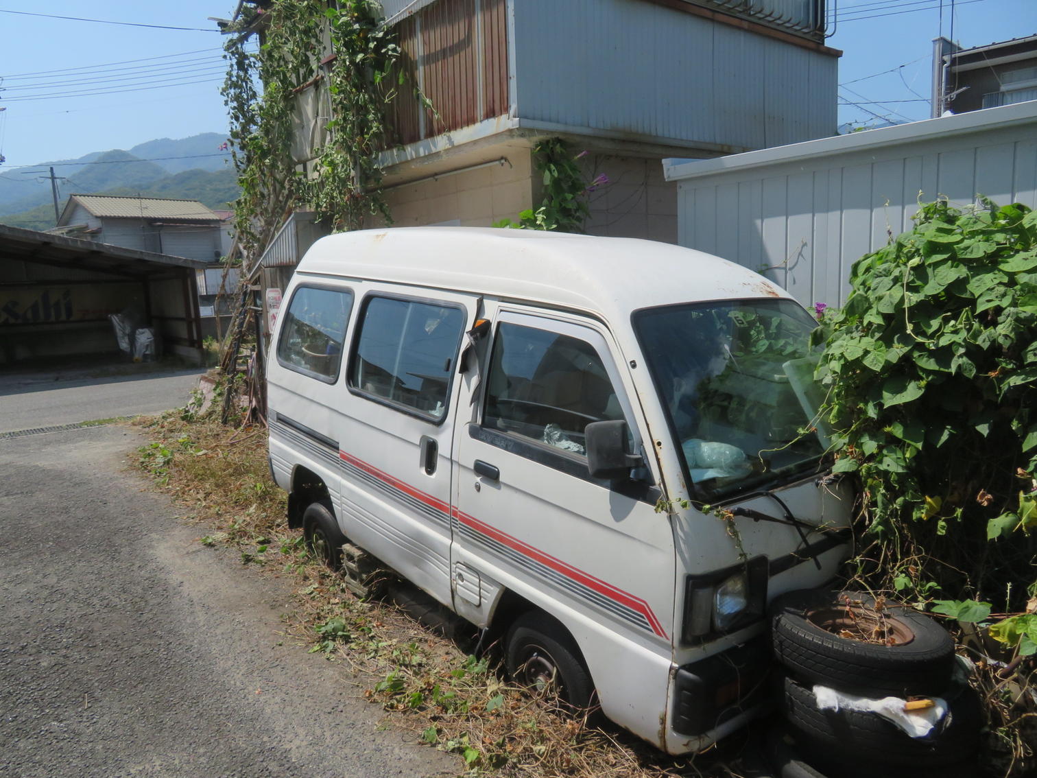 草に埋もれた廃車のワゴン