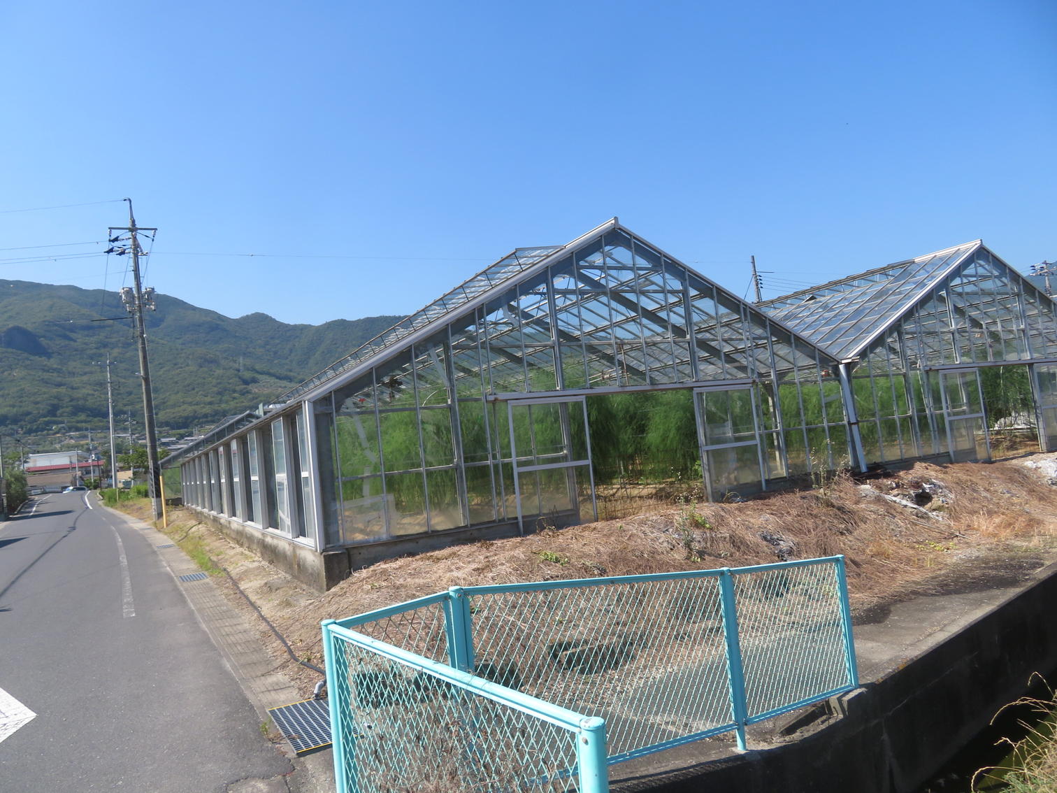 住宅地へ向かう道沿いの温室。