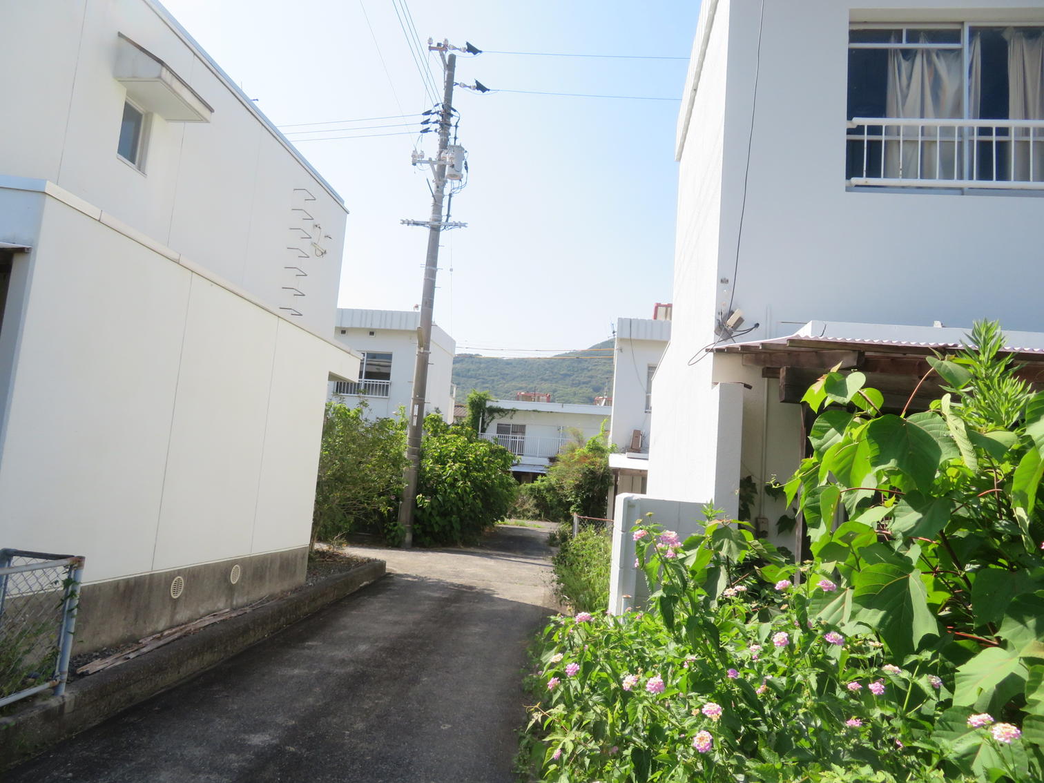 白い住宅の間の路地。