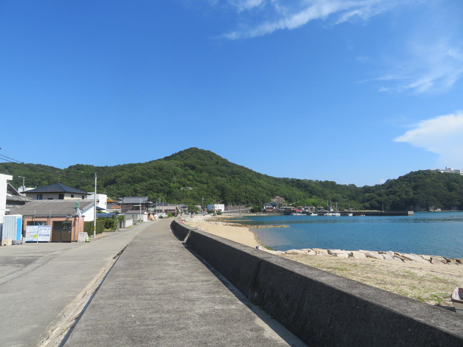 海沿いの道と護岸。