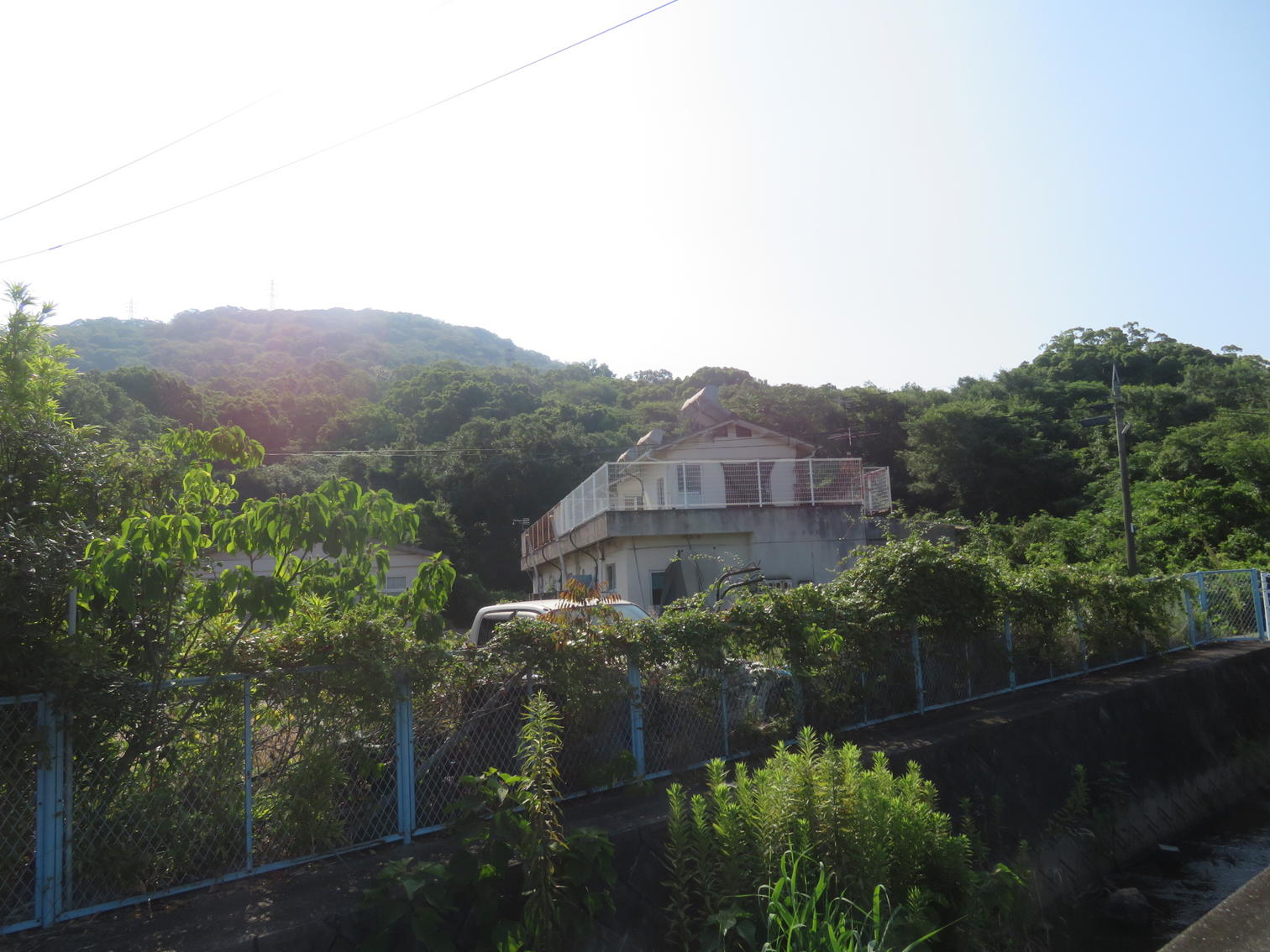 青い柵に囲まれ、草に覆われた家。