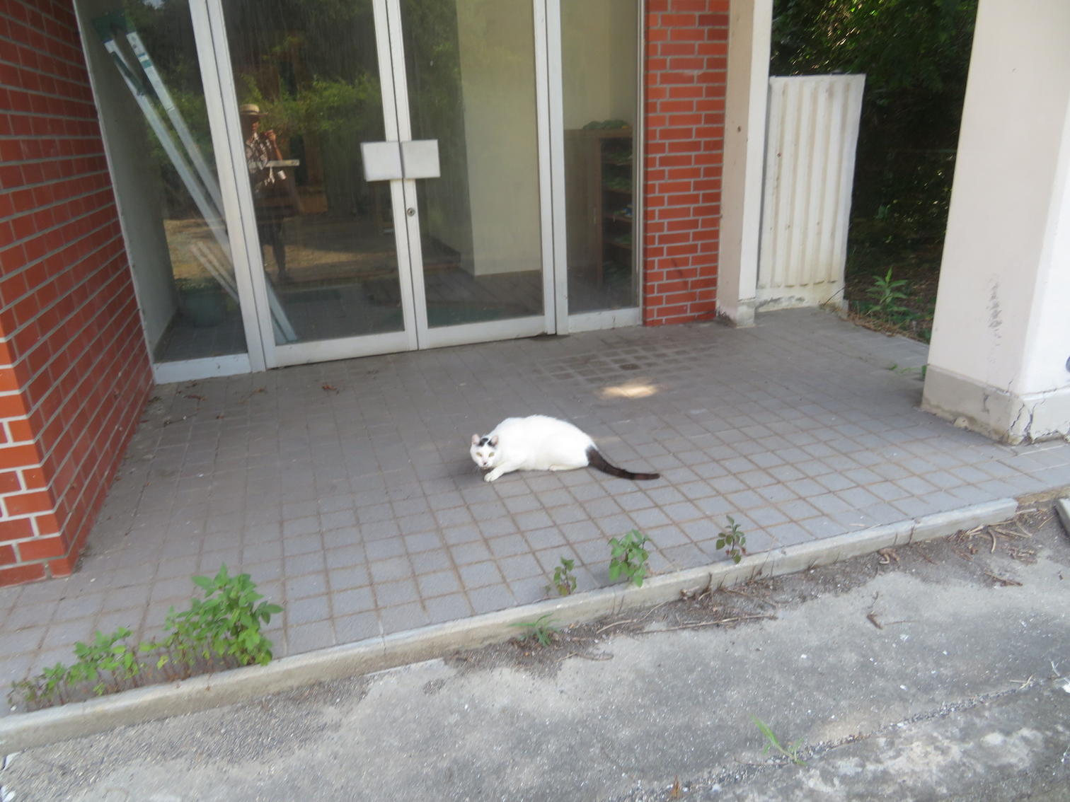 家浦集会所の入口。れんが張りで、看板は出ていない。