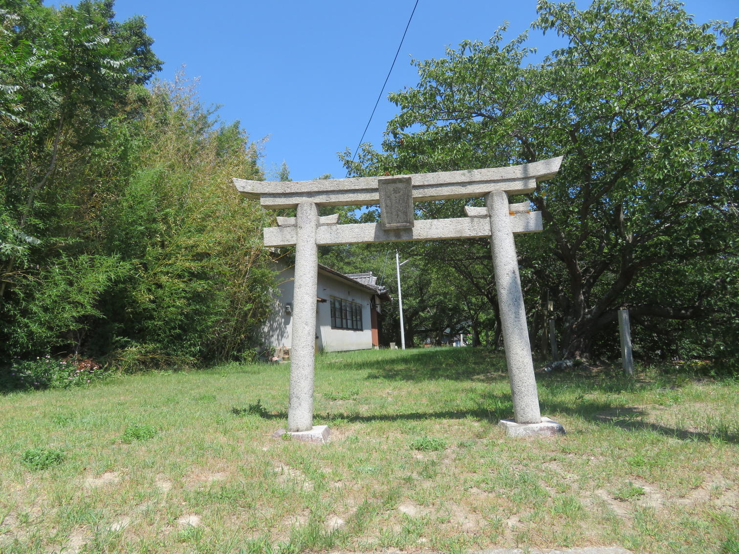 草地に立つ鳥居。