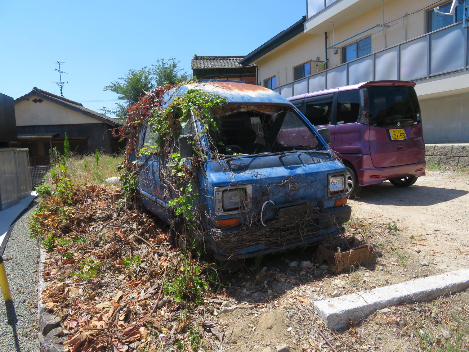 集合住宅の脇で、つたに埋もれた軽自動車。