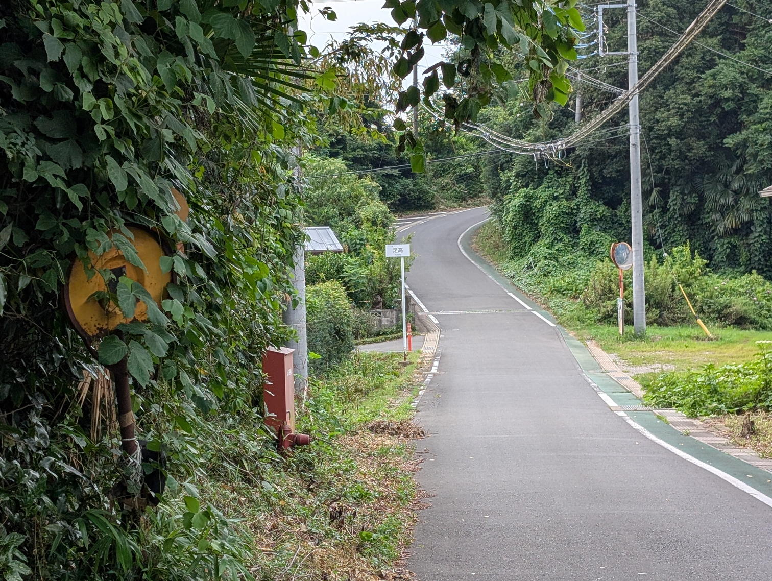 木立の間を曲がる道。