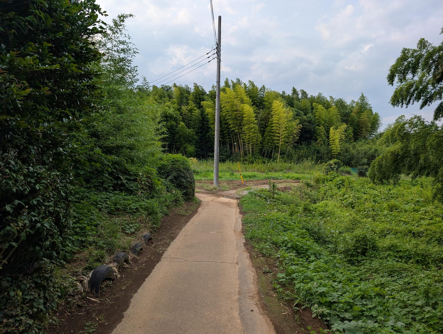 竹林へ向かう細い道。