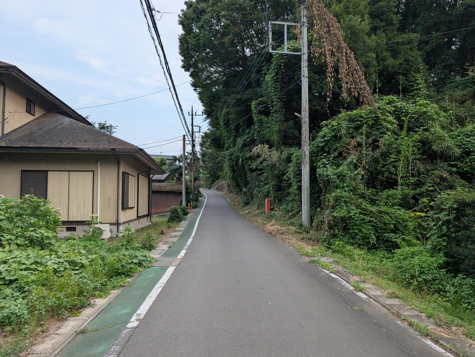 木立と家並みの間の道。