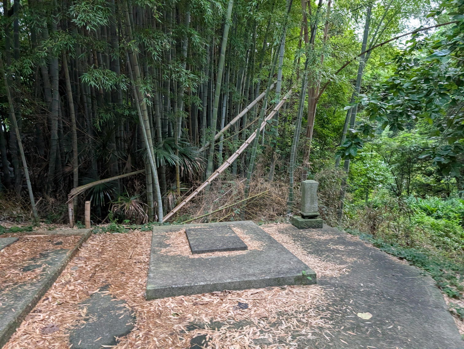 竹林の中の墓地。