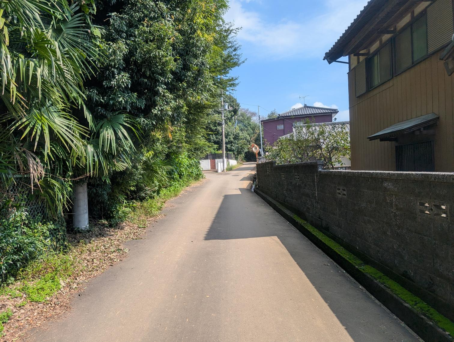 塀に沿った細い道。