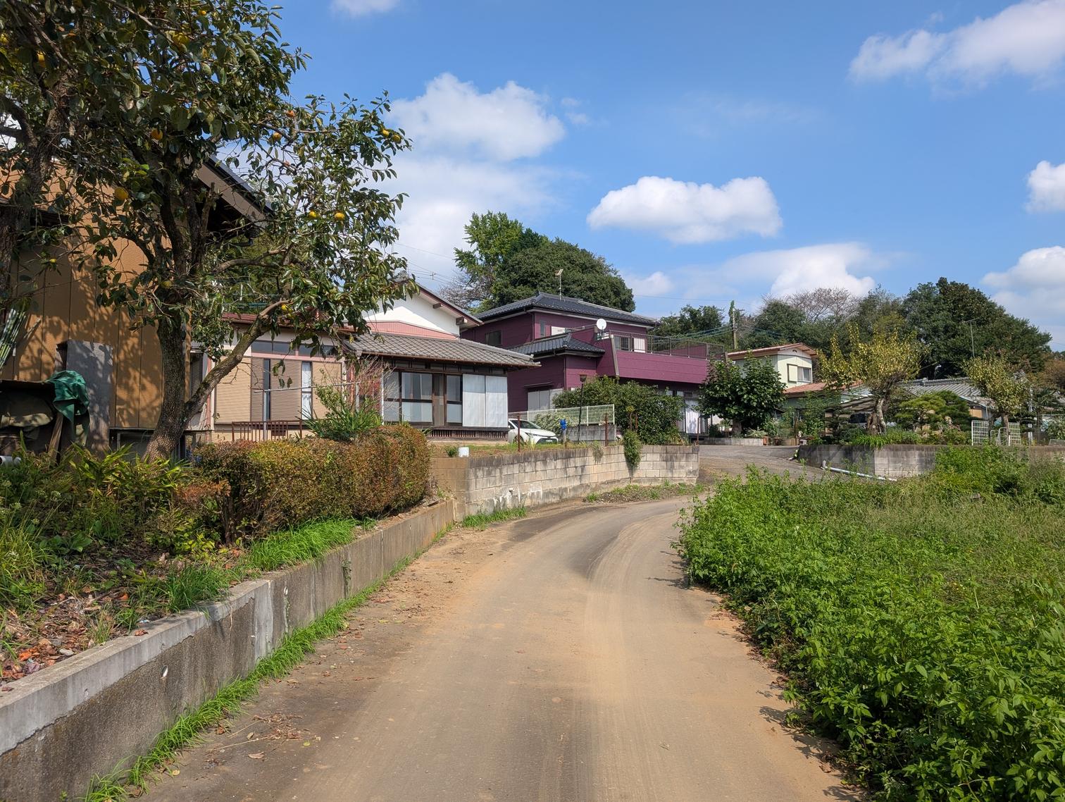 畑の脇の道。