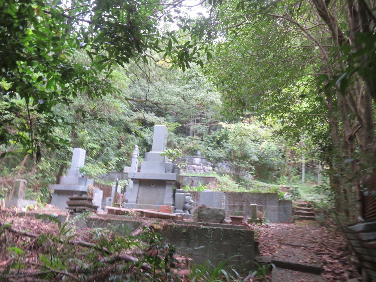 山の中の墓。